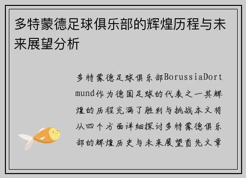 多特蒙德足球俱乐部的辉煌历程与未来展望分析